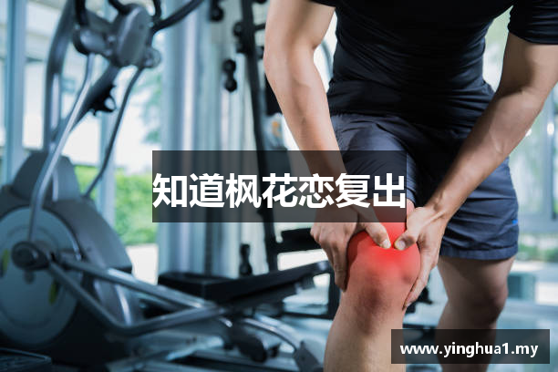 知道枫花恋复出